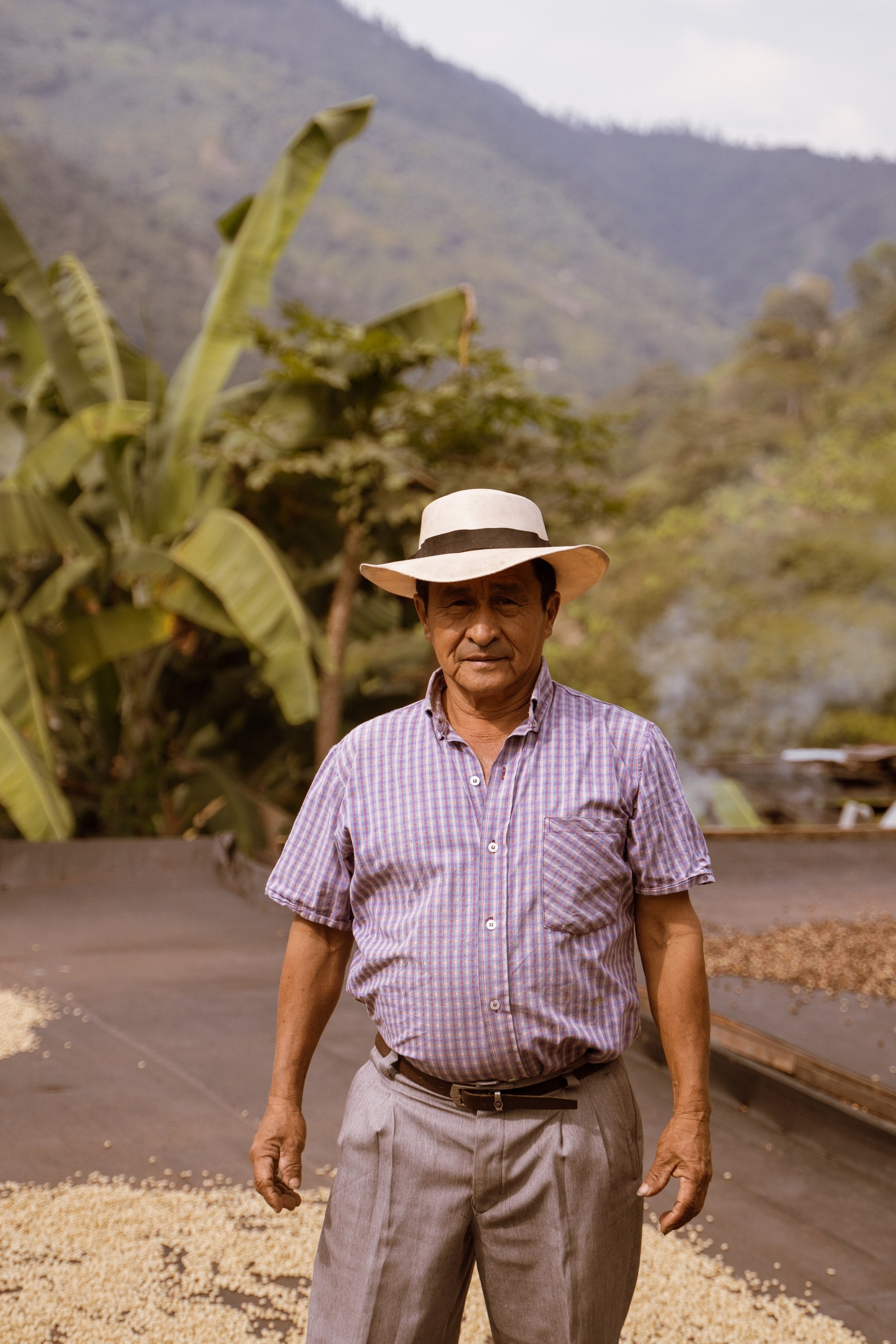 León Campo standing on the patio, coffee spread out drying in the sun
