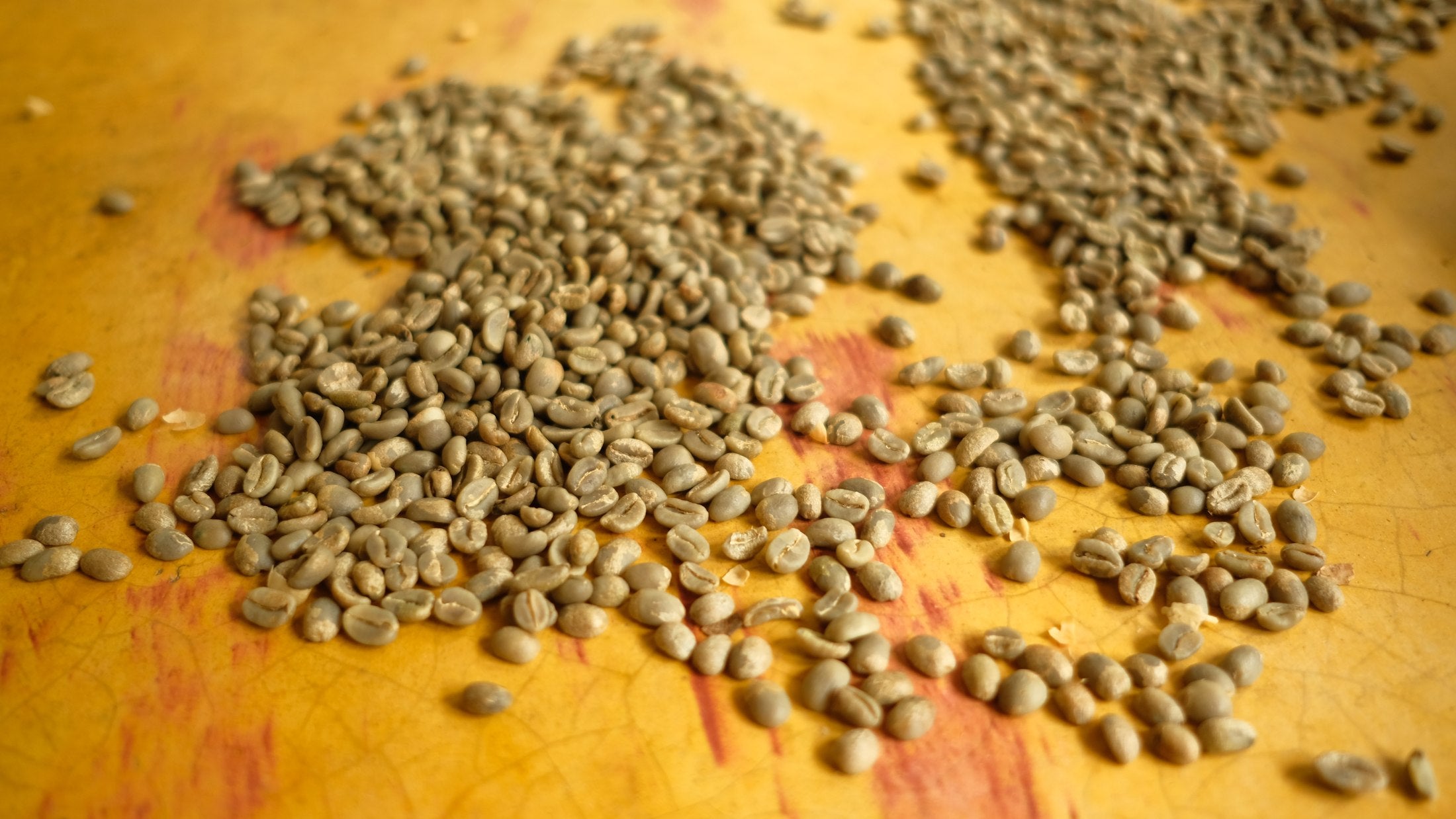 Granos de café verde trillado sobre una mesa