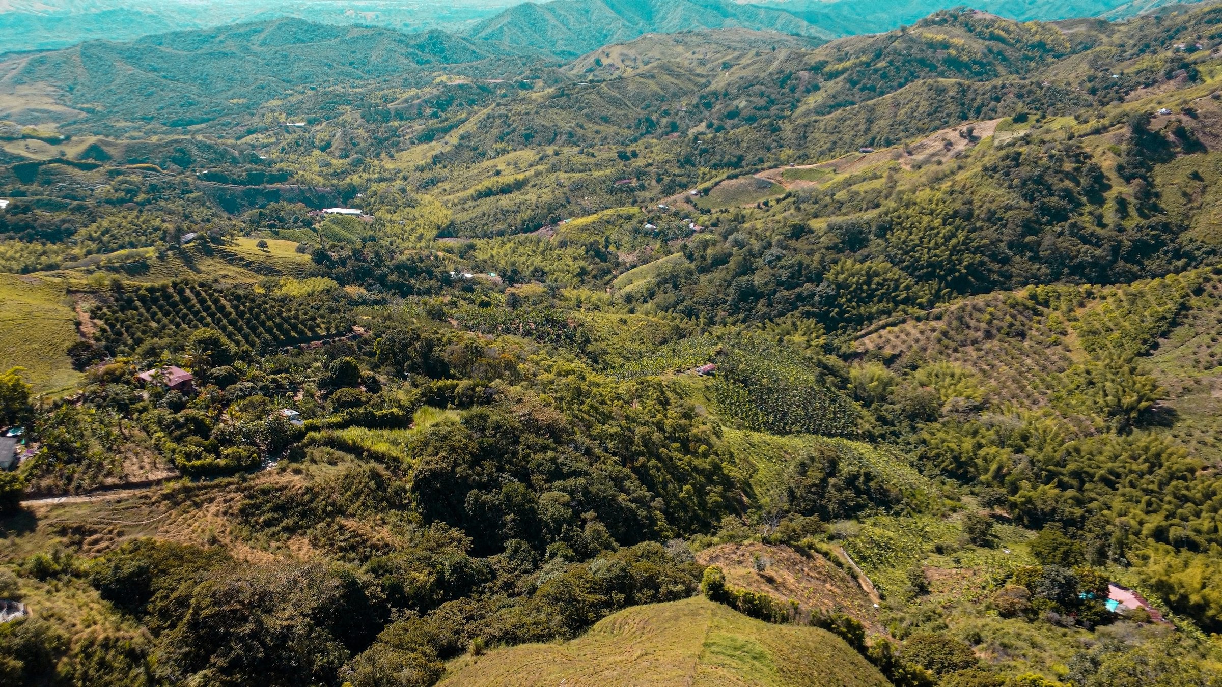 Vista aérea del valle cafetero de Pijao