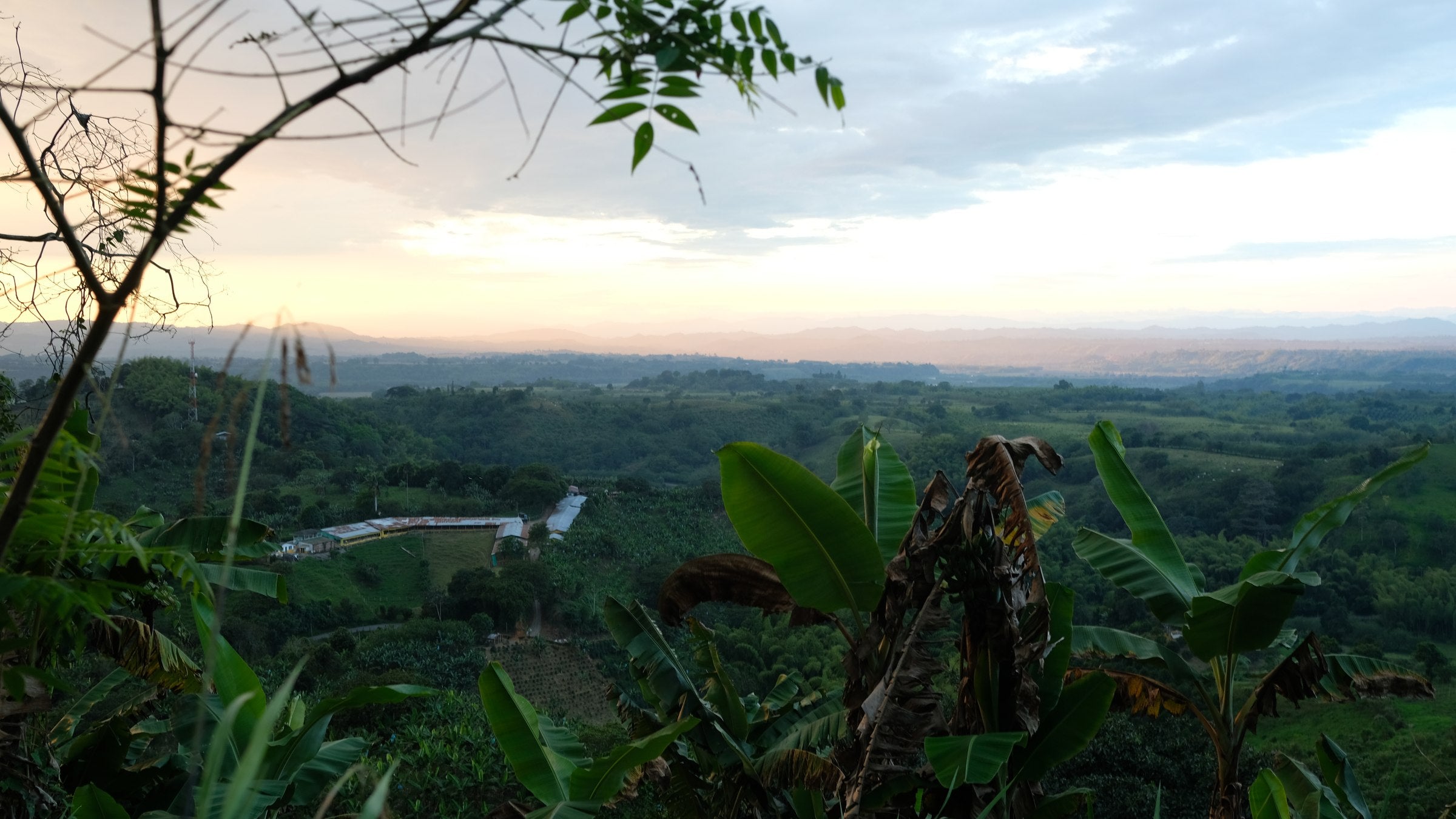 Atardecer sobre el valle cafetero